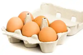 Neomáquina Ovos custodio a-l 6 uni promoção