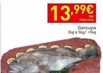 Recheio Peixe promoção