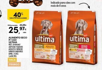 Continente Bom dia Ração para cães ultima promoção