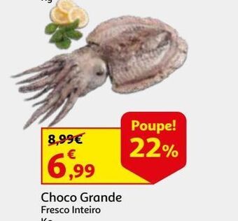 Auchan Choco grande fresco inteiro kg promoção