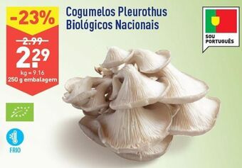 ALDI Cogumelos promoção