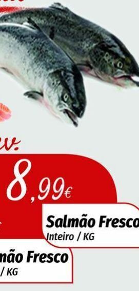 Salmão