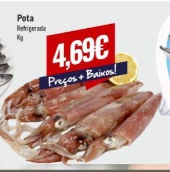 Belita Peixe promoção