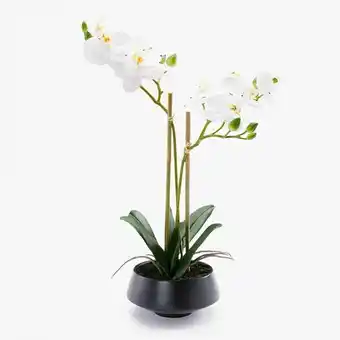 VIVA Orquídea vaso preto a.41cm promoção