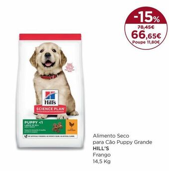 Ração para cães