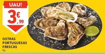 E.Leclerc Ostras Portuguesas Frescas 1kg promoção