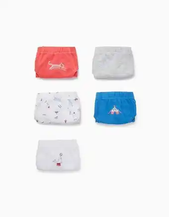 Zippy Pack 5 cuecas de algodão para menino 'circo', multicolor promoção