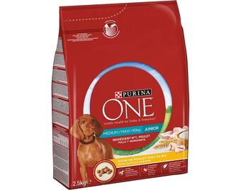 Auchan Ração cão purina one promoção