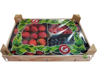 Mistura frutos vermelho auchan 700 g
