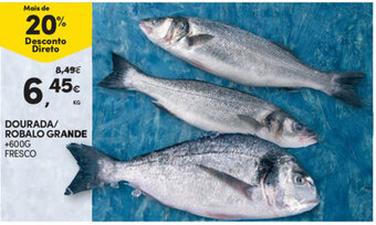 Continente Dourada/Robalo Grande +600g promoção