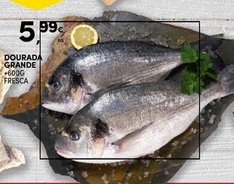 Continente Dourada Grande promoção