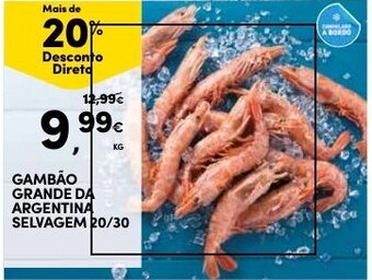 Continente Gambão Grande da Argentina Selvagem 20/30 1kg promoção