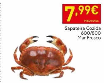 Recheio Caranguejo promoção