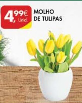 Pingo Doce Molho de Tulipas promoção