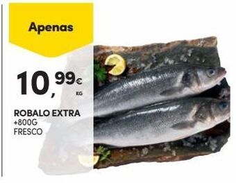 Robalo