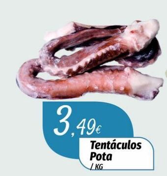 Miranda Supermercados Tentáculos de lula promoção