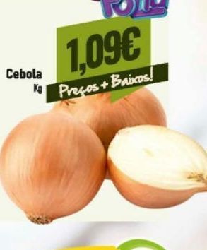 Cebola