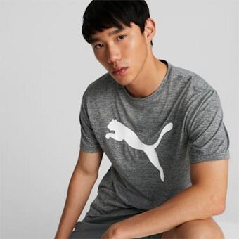 Favourite heather cat training tee men