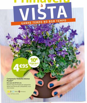 Jardiland Plantas promoção