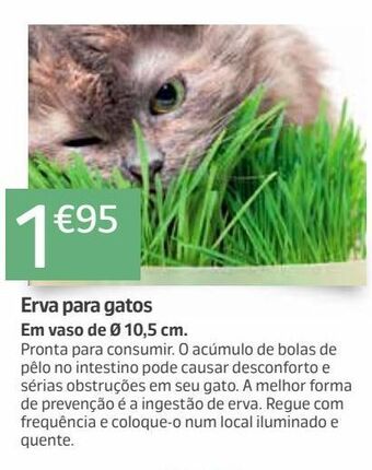 Jardiland Animais de estimação promoção