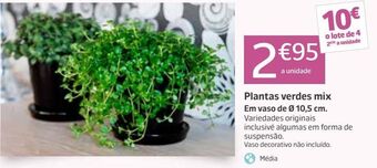 Jardiland Plantas promoção