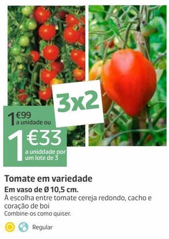 Tomate