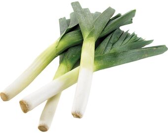 Alho francês kg