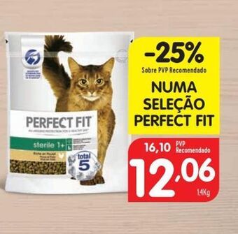Minipreço Ração para gatos promoção