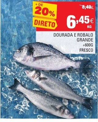 Continente Dourada e Robalo Grande +600g promoção