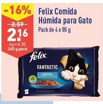 Ração para gatos felix