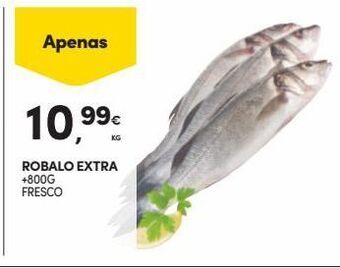 Robalo