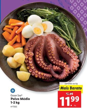 Ocean Sea Polvo Médio 1-2kg