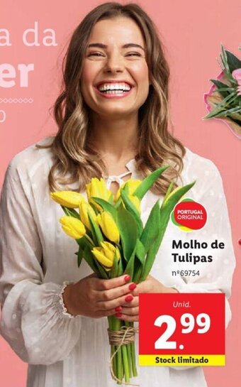 Lidl Molho de Tulipas promoção