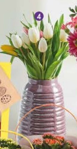 Molho de Tulipas