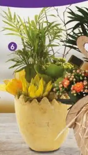 Pingo Doce Arranjo Páscoa em Ovo promoção