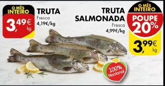 Truta Salmonada