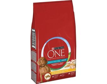 Auchan Ração cão purina one promoção