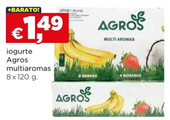Iogurte Agros Multi aromas 8x120g