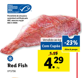 Red Fish