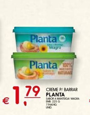 Margarina planta