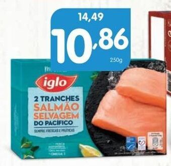 Salmão iglo
