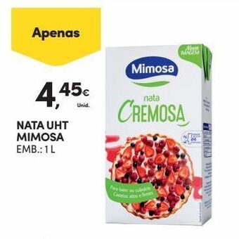 Continente Bom dia Laticínio mimosa promoção