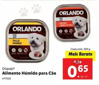 Lidl Ração para gatos orlando promoção
