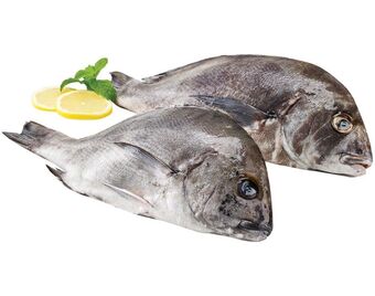 Pargo mulato fresco inteiro kg