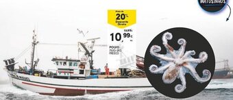 Continente Polvo 750g-2kg promoção
