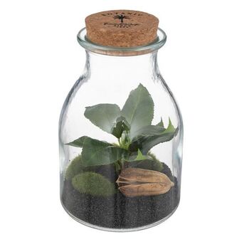 Jarra de vidro com plantas artificiais caravane