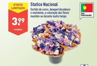 ALDI Flores promoção