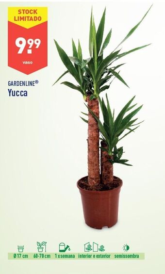 Plantas
