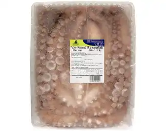 Polvo congelado