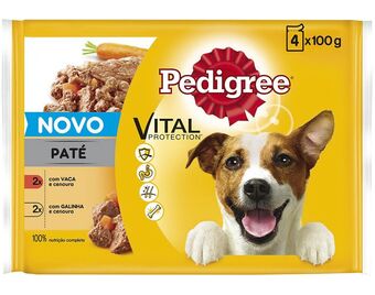 Comida húmida cão pedigree